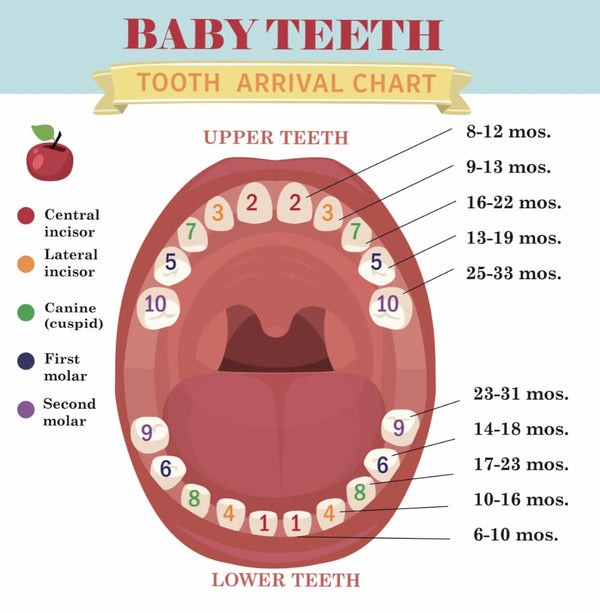 How Teething Affects Baby's Sleep